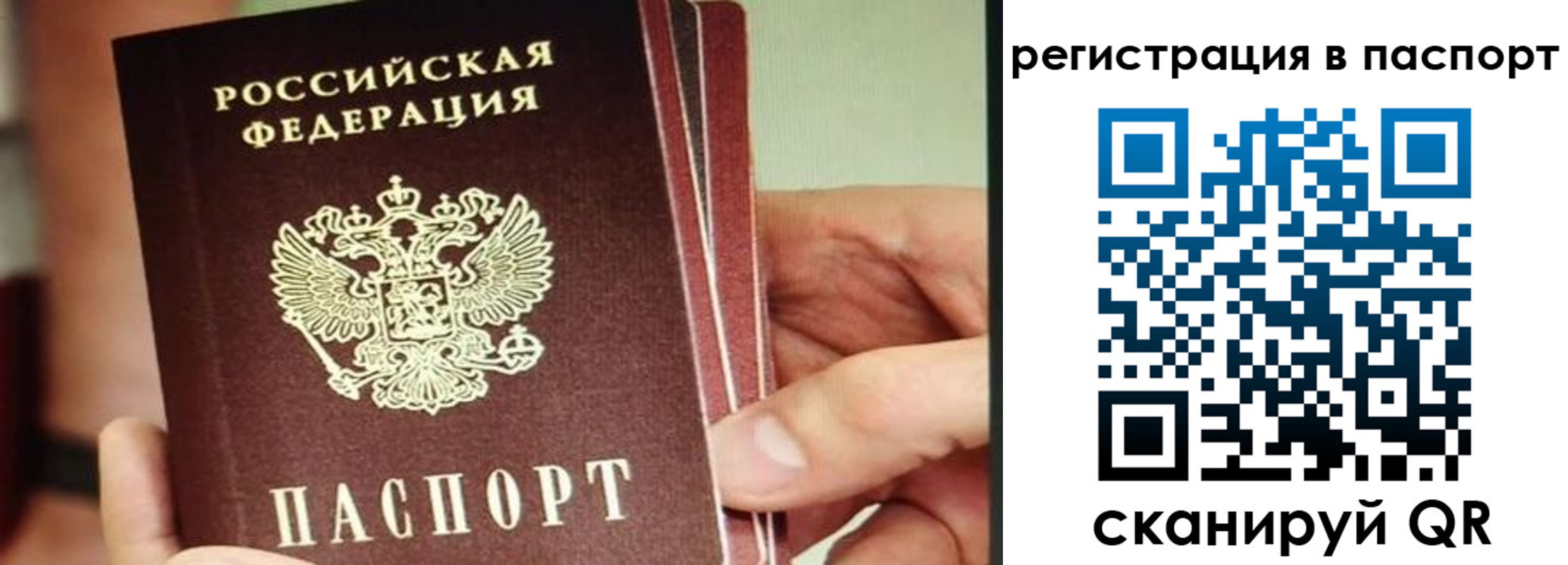 временная регистрация надежно в Каменск-Шахтинском
